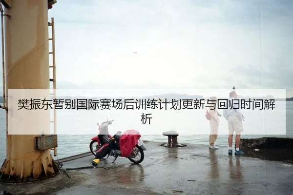 樊振东暂别国际赛场后训练计划更新与回归时间解析